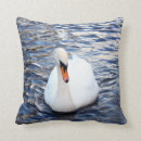 Search for swan cushions River