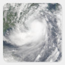 Search for tropical storm stickers China