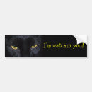 Search for halloween bumper stickers Cat