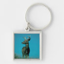 Search for deer antlers key rings Nature