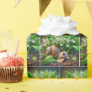 Search for snail wrapping paper Whimsical