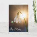 Search for snowdrop birthday cards Flower