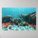 Search for marine life fish posters Seaweed