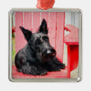 Search for scottish terrier christmas tree decorations Scotty