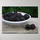 Search for raspberry posters Raspberries