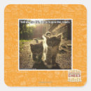 Search for follow me stickers I can has cheezburger
