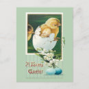 Search for easter greeting postcards Chicks