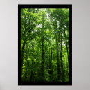 Search for woodsy posters Forest