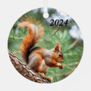 Search for red squirrel christmas tree decorations Wildlife
