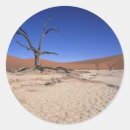 Search for namib stickers Arid