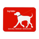 Search for walker magnets Modern