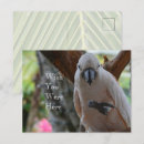 Search for bird tree postcards Hawaii