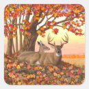 Search for whitetail stickers Wildlife