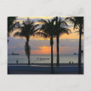 Search for ft lauderdale postcards Palm trees