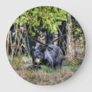 Search for black bear clocks Bear and forest