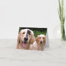 Search for golden retriever cards Canine