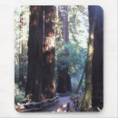Search for muir woods mousepads Redwood