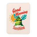 Search for chameleon magnets Cute
