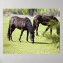 Search for grazing posters Outdoors