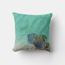 Search for sea shell cushions Turquoise