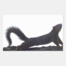 Search for funny squirrels stickers Animals