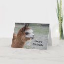 Search for alpaca birthday cards Animal