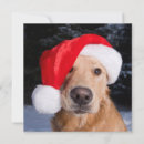 Search for cute golden retriever puppy christmas cards Goldens