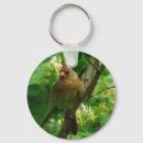 Search for female cardinal key rings Nature