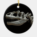 Search for dinosaur christmas tree decorations Gift