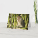Search for waterbirds cards Heron