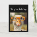 Search for funny goose cards Animal