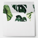 Search for leaf envelopes Green