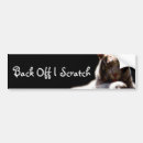 Search for white tiger bumper stickers Cat