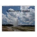 Search for bison calendars Nature