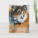 Search for tiger print cards Zoo