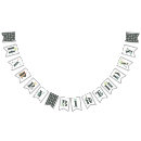 Search for dinosaur bunting flags Boy