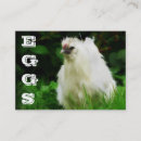 Search for chicken eggs business cards Farming