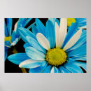 Search for fleurs posters White
