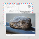 Search for adaptation postcards Camouflage