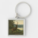 Search for elk key rings Nature