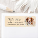 Search for brittany return address labels Dog