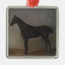 Search for dressage horse christmas tree decorations Pony