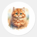 Search for ginger tabby stickers Kitten