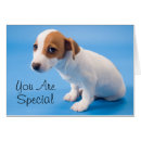 Search for studio shot Baby animals