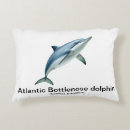 Search for bottlenose dolphin Sea