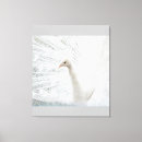 Search for peacock painting canvas prints Feathers