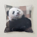 Search for panda nursery decor Newborn