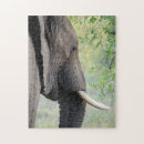 Search for african elephant puzzles Wild animal