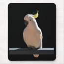 Search for gap mousepads Nature