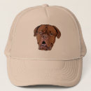 Search for mastiffs accessories Cute